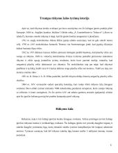 Rūkymo ir visuomenės sąsaja 6 puslapis