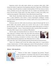 Rūkymo ir visuomenės sąsaja 8 puslapis