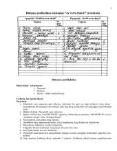 Rūkymo profilaktikos užsiėmimai 3 puslapis