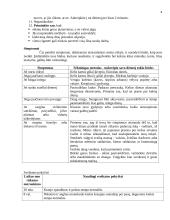 Rūkymo profilaktikos užsiėmimai 4 puslapis