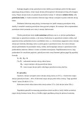 Sandorių teorija 2 puslapis