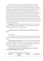 Sandorių teorija 13 puslapis