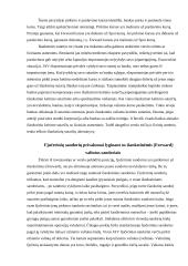 Sandorių teorija 16 puslapis