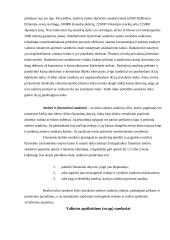 Sandorių teorija 17 puslapis