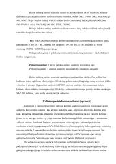 Sandorių teorija 20 puslapis