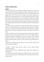 Saulės baterijų raida 3 puslapis