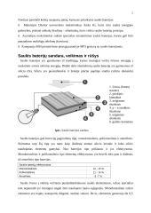 Saulės baterijų raida 5 puslapis