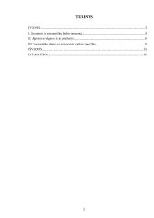 Savanorių darbas su agresyviais vaikais 2 puslapis