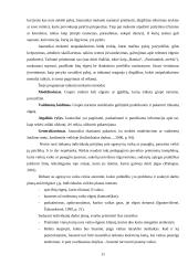 Savanorių darbas su agresyviais vaikais 11 puslapis