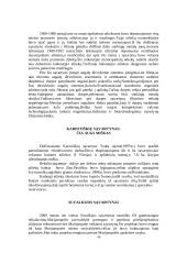 Sąvartynai 4 puslapis