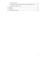 Savižudybės sociologiniai ir psichologiniai aspektai 2 puslapis