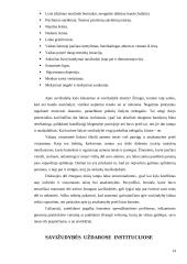 Savižudybės sociologiniai ir psichologiniai aspektai 14 puslapis