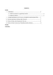 Seimo rinkimai Lietuvoje: istorinės raidos bruožai 2 puslapis