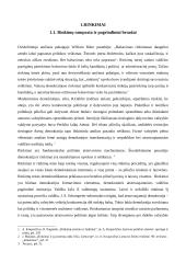 Seimo rinkimai Lietuvoje: istorinės raidos bruožai 4 puslapis