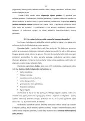 Senėjimo procesas ir padariniai Lietuvoje 12 puslapis