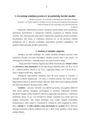 Senėjimo procesas ir padariniai Lietuvoje 4 puslapis