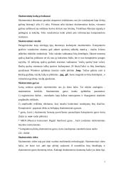 Skaitmeninių signalų taikymas multimedijoje 4 puslapis