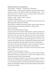 Skaitmeninių signalų taikymas multimedijoje 7 puslapis