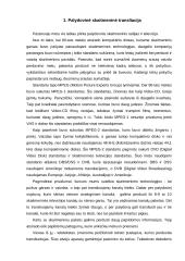 Skaitmeninių transliacijų problemos ir perspektyvos 2 puslapis