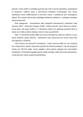 Skaitmeninių transliacijų problemos ir perspektyvos 3 puslapis