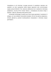 Skaitmeninių transliacijų problemos ir perspektyvos 5 puslapis