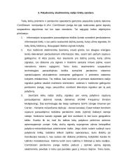 Skaitmeninių transliacijų problemos ir perspektyvos 7 puslapis