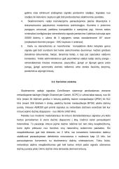 Skaitmeninių transliacijų problemos ir perspektyvos 8 puslapis