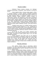 Skyrybos šeimoje 3 puslapis