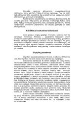 Skyrybos šeimoje 5 puslapis