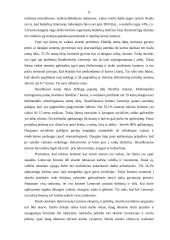 Skurdas ir jo mažinimo strategijos 11 puslapis