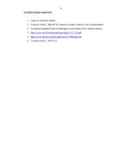 Skurdas ir jo mažinimo strategijos 15 puslapis