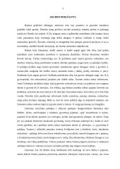 Skurdas ir jo mažinimo strategijos 3 puslapis