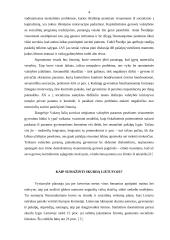 Skurdas ir jo mažinimo strategijos 4 puslapis