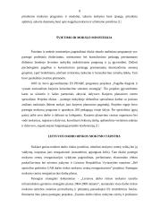 Skurdas ir jo mažinimo strategijos 8 puslapis