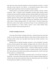 Skurdo lygis Lietuvoje 4 puslapis