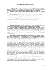 Skurdas Lietuvoje, jo priežastys ir mažinimo priemonės 3 puslapis