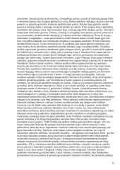 Skurdo ribos samprata 11 puslapis