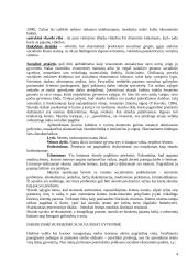 Skurdo ribos samprata 3 puslapis