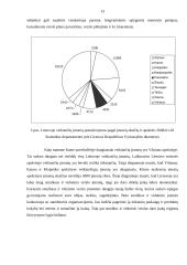 Smulkus ir vidutinis verslas ir jo plėtra Lietuvoje 12 puslapis