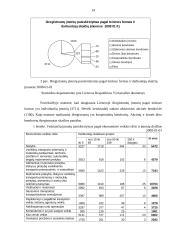 Smulkus ir vidutinis verslas ir jo plėtra Lietuvoje 13 puslapis
