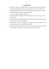 Smulkus ir vidutinis verslas ir jo plėtra Lietuvoje 17 puslapis