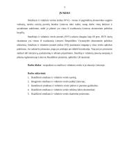 Smulkus ir vidutinis verslas ir jo plėtra Lietuvoje 2 puslapis