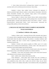 Smulkus ir vidutinis verslas ir jo plėtra Lietuvoje 7 puslapis