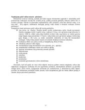 Smurto prieš vaikus problema 12 puslapis