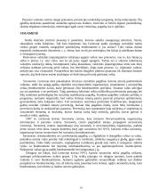 Smurto prieš vaikus problema 19 puslapis