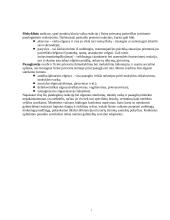 Smurto prieš vaikus problema 7 puslapis