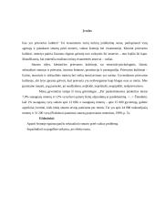 Smurtas prieš vaikus namuose 2 puslapis