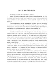 Smurtas prieš vaikus namuose 3 puslapis