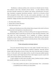 Smurtas prieš vaikus namuose 4 puslapis