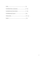 Socialdemokratija 2 puslapis